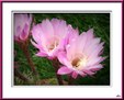 Enlarge photo 68