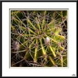 Enlarge photo 63