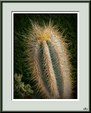 Enlarge photo 65