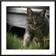 Enlarge photo 64