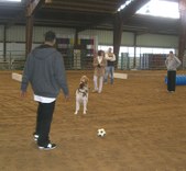 Enlarge photo 31