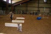 Enlarge photo 38