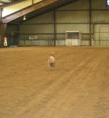 Enlarge photo 28