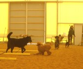 Enlarge photo 37