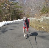Enlarge photo 11