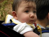 Enlarge photo 21