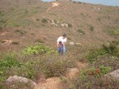 Enlarge photo 33