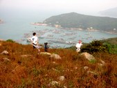 Enlarge photo 44
