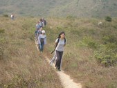 Enlarge photo 52