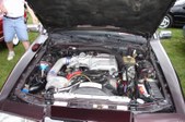 Enlarge photo 76