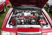 Enlarge photo 77