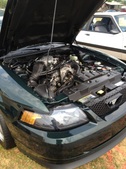 Enlarge photo 22