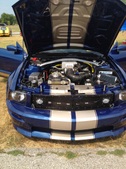 Enlarge photo 24