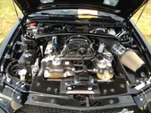 Enlarge photo 49