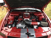 Enlarge photo 67