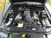 Enlarge photo 81