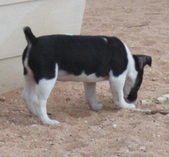 Enlarge photo 23