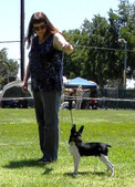 Enlarge photo 13