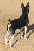 Enlarge photo 34