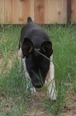 Enlarge photo 6