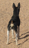 Enlarge photo 37