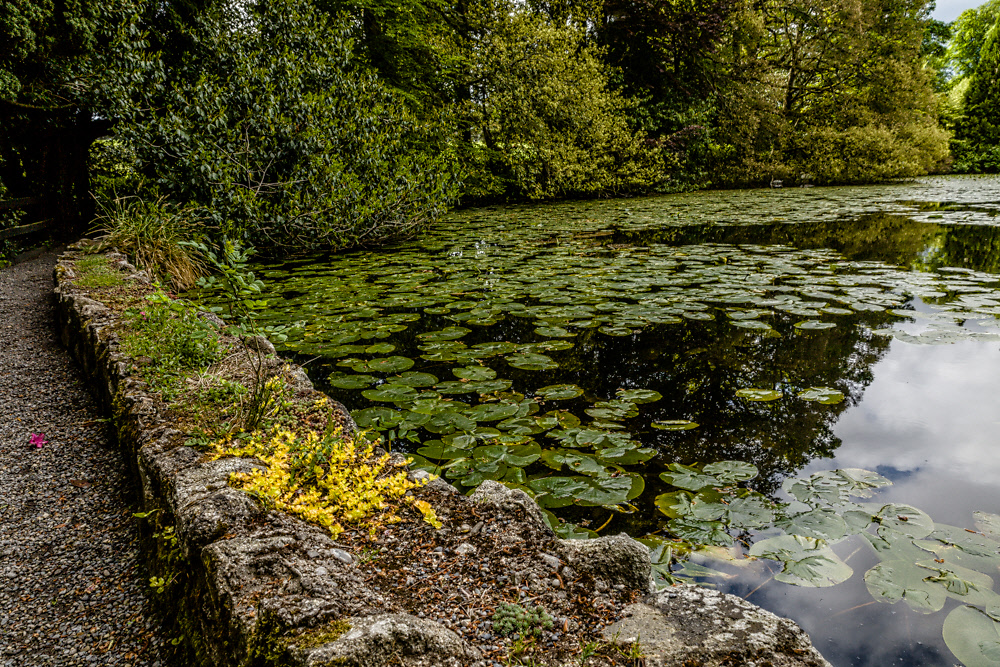 IMAGE: http://photos.imageevent.com/elied/ireland/day2/Day2-005.jpg