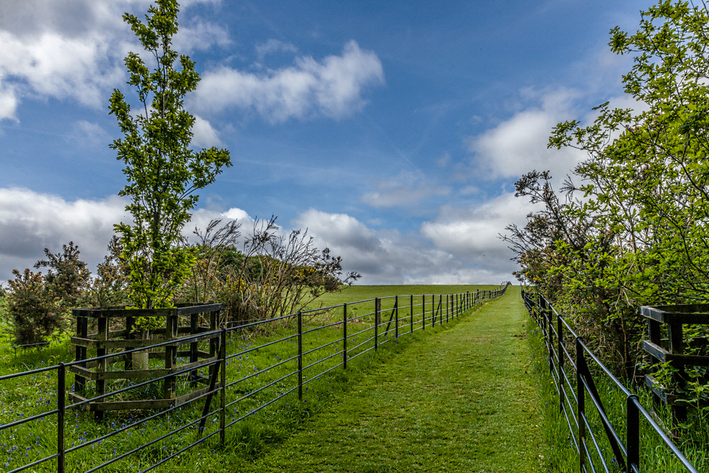 IMAGE: http://photos.imageevent.com/elied/ireland/day2/Day2-009.jpg