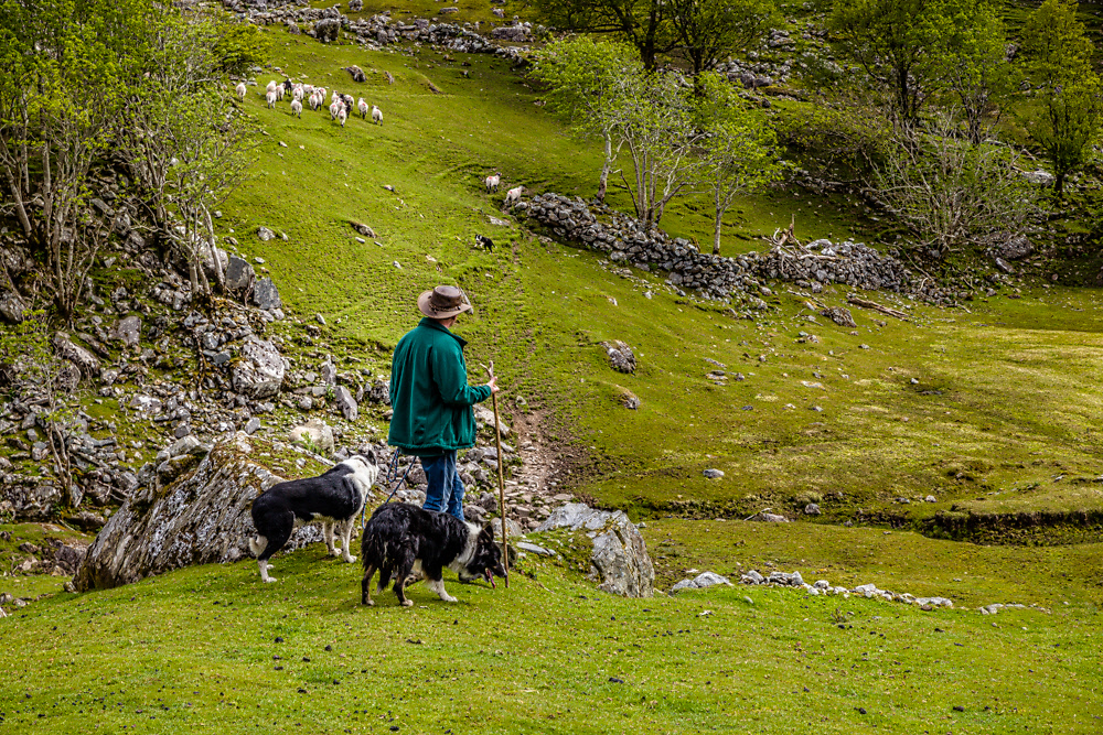 IMAGE: http://photos.imageevent.com/elied/ireland/day3/day3-016.jpg