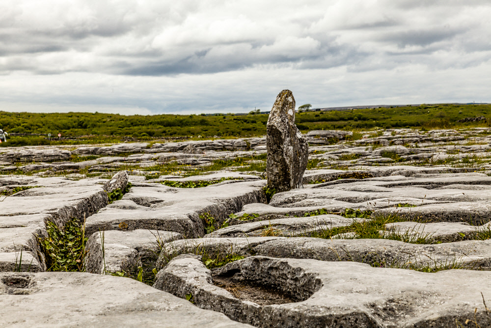 IMAGE: http://photos.imageevent.com/elied/ireland/day4/day4-007.jpg