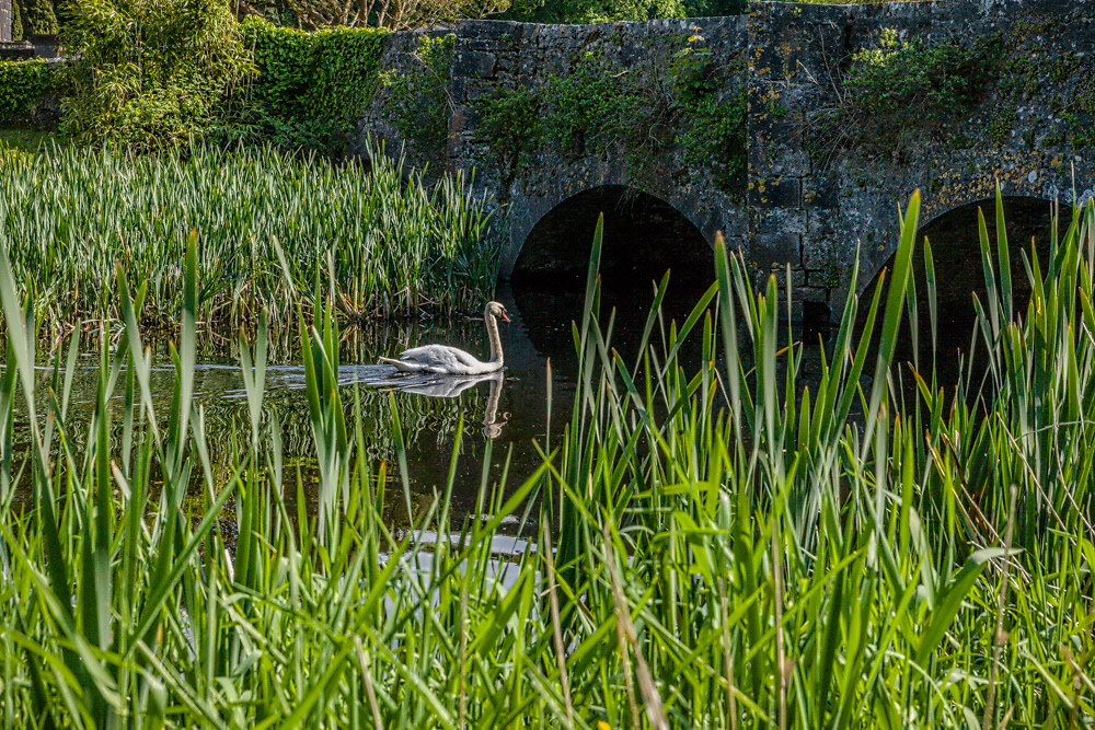 IMAGE: http://photos.imageevent.com/elied/ireland/day5/day5039.jpg