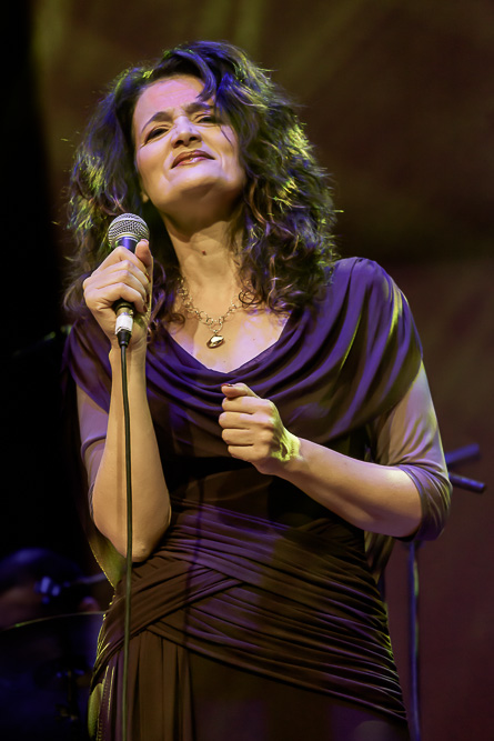 IMAGE: http://photos.imageevent.com/elied/irisandoferportugali/_MG_8581.jpg