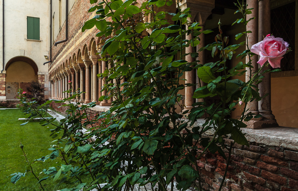 IMAGE: http://photos.imageevent.com/elied/thisthatandtheotherthing/northernitalyii/_MG_5817.jpg