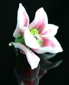 Enlarge photo 11