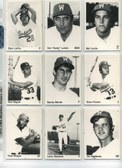 Dodger Minor League Cards