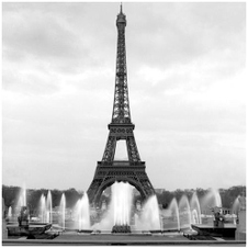 Enlarge photo 113