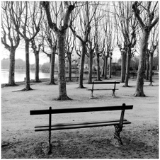 Enlarge photo 124