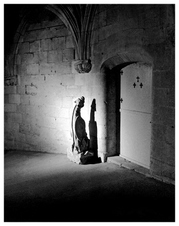 Enlarge photo 103
