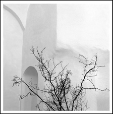 Enlarge photo 76