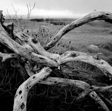 Enlarge photo 136