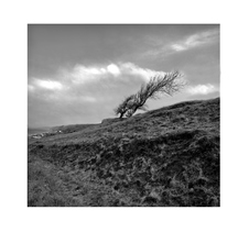 Enlarge photo 73