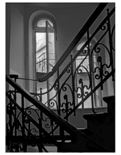 Enlarge photo 96
