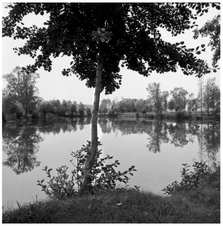 Enlarge photo 90