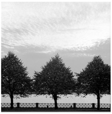 Enlarge photo 83