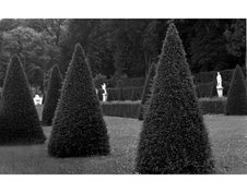 Enlarge photo 99