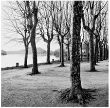 Enlarge photo 104