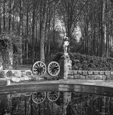 Enlarge photo 63
