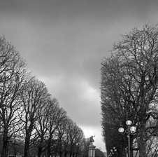 Enlarge photo 53