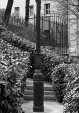 Enlarge photo 46