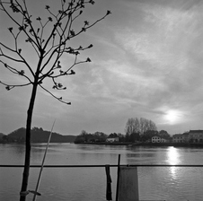 Enlarge photo 42