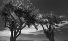 Enlarge photo 33